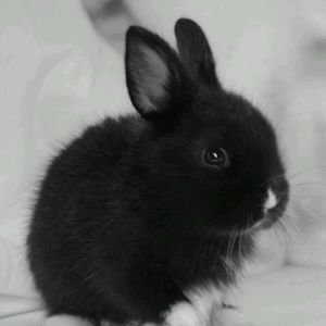 Meet your Posher, Lance